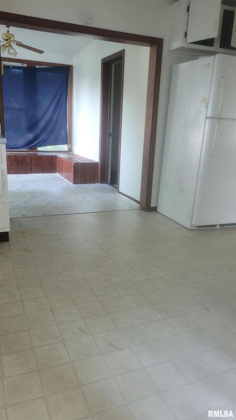 Tiny photo for 509 Lucier Street, Murphysboro, IL 62966 (MLS # EB456713)