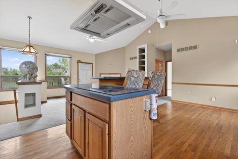 Tiny photo for 286 Fossil Ridge Road, Wilmington, IL 60481 (MLS # 12619089)