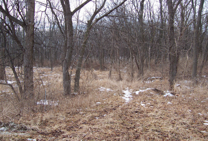 17220 Oak Meadow #5 Oak Meadow Court Court