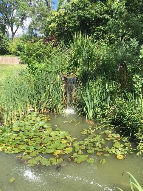 Tiny photo for 4218 Florence Avenue, Downers Grove, IL 60515 (MLS # 12504125)