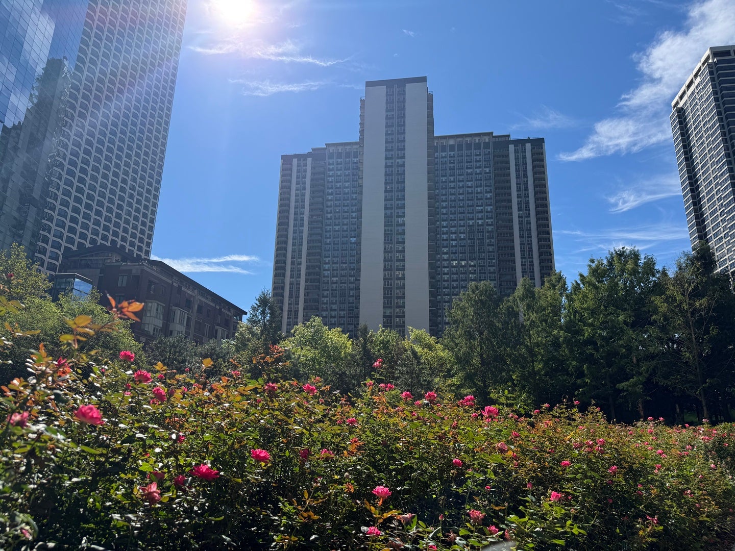 400 E RANDOLPH Street 3302