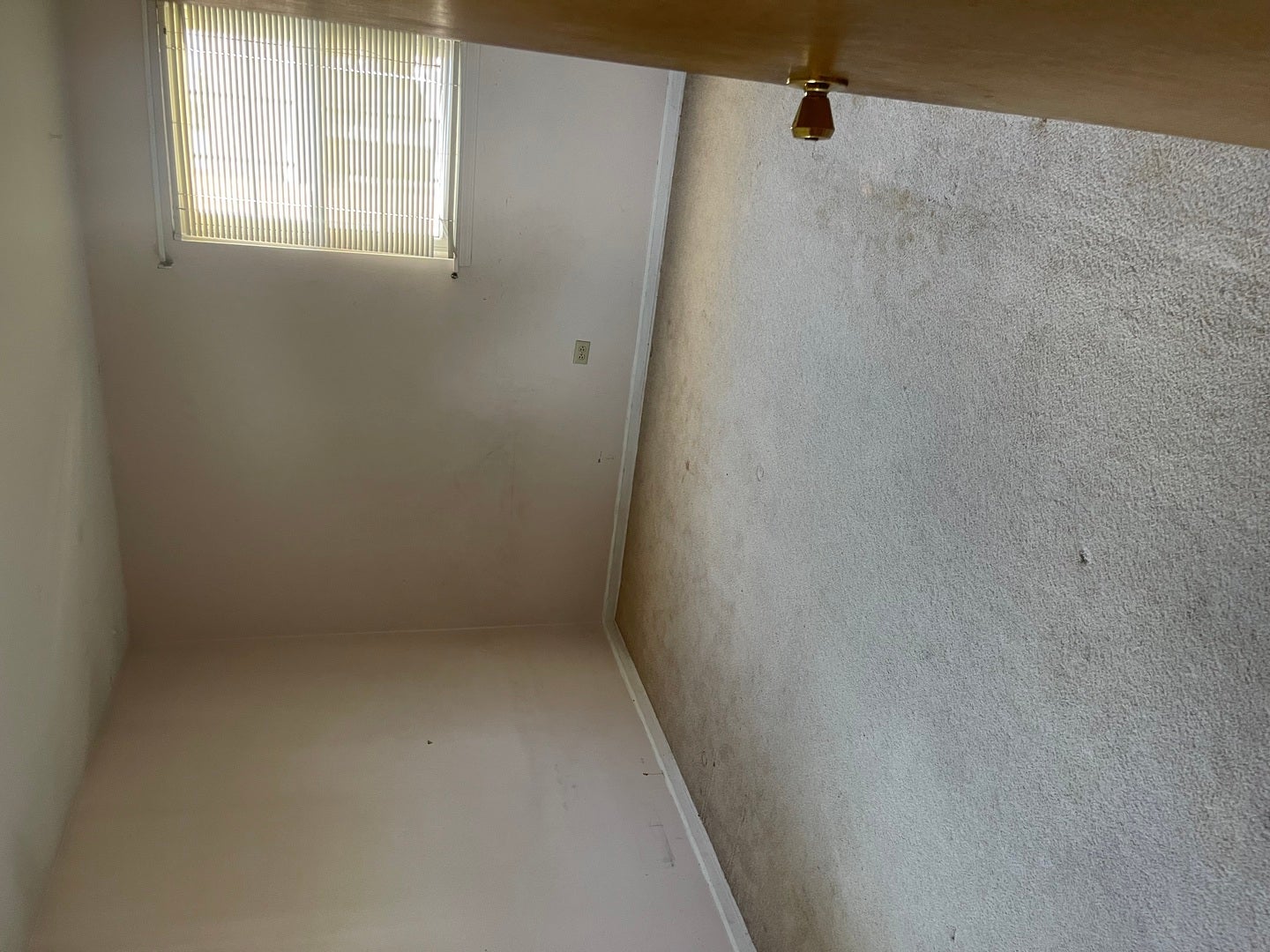 1802 W WILLOW Lane 1802