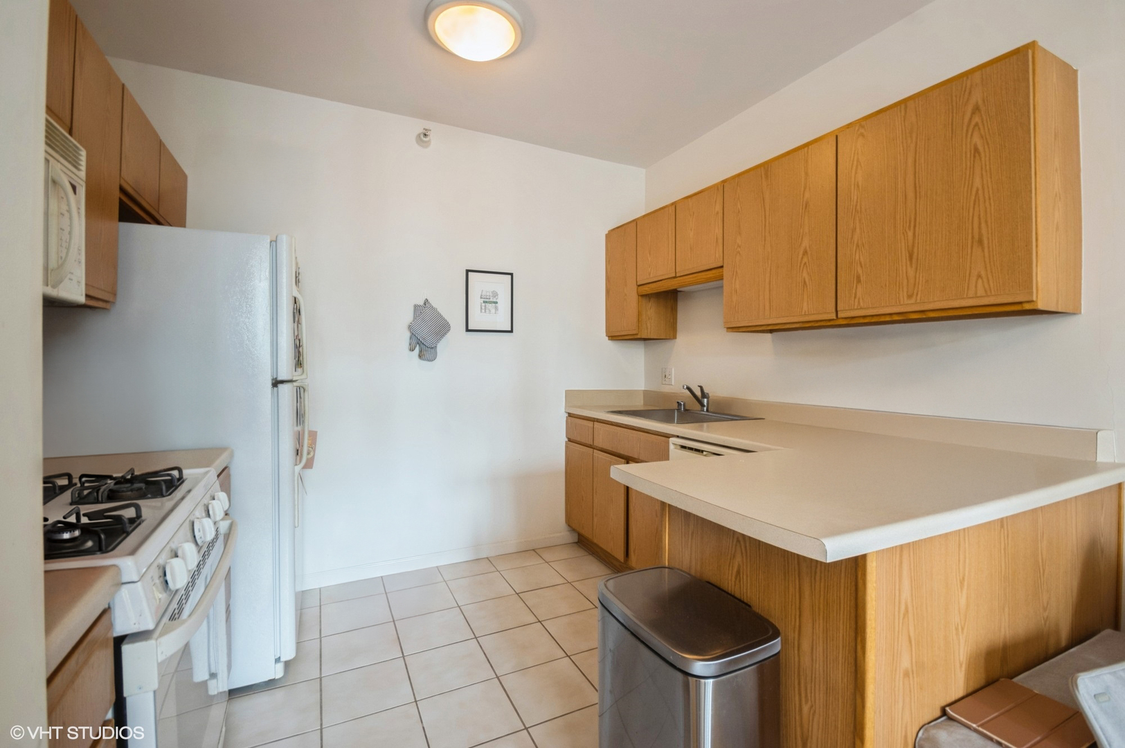 600 N Dearborn Street 1307