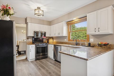 Tiny photo for 50 Erin Drive, Cary, IL 60013 (MLS # 12467243)