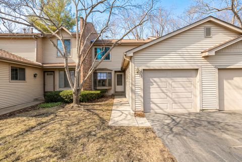 205 E Forest Knoll Drive Palatine IL 60074