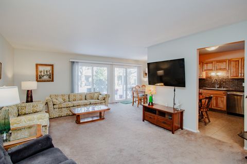 Tiny photo for 317 Woodbury Court #B1, Schaumburg, IL 60193 (MLS # 12553357)