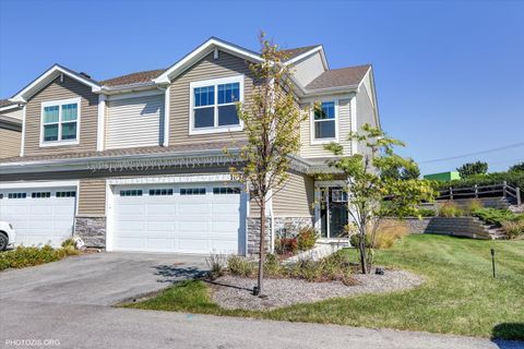 A home in South Elgin