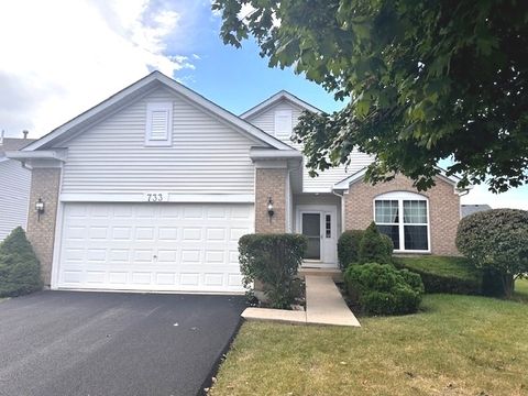 Photo of 733 S Mecosta Lane, Romeoville, IL 60446 (MLS # 12478102)