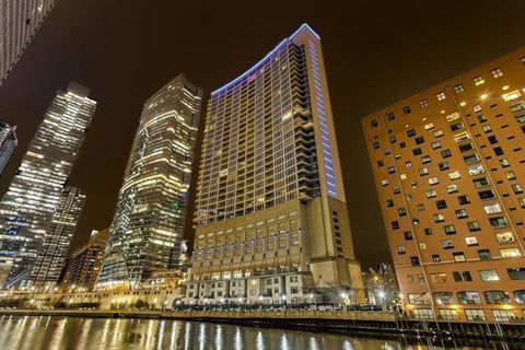333 N CANAL Street 2203 Chicago IL 60606