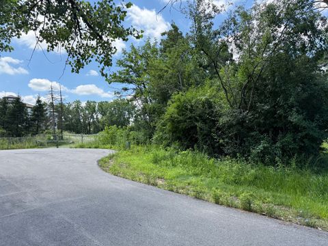 Photo of 8625 Meadowbrook Drive, Burr Ridge, IL 60527 (MLS # 12495210)