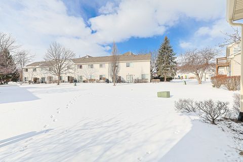 Tiny photo for 263 Nicole Drive #F, South Elgin, IL 60177 (MLS # 12555916)