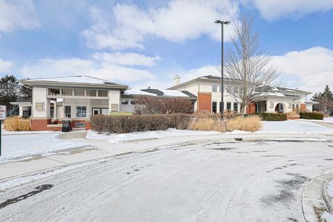 Tiny photo for 263 Nicole Drive #F, South Elgin, IL 60177 (MLS # 12555916)