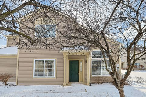 Tiny photo for 263 Nicole Drive #F, South Elgin, IL 60177 (MLS # 12555916)
