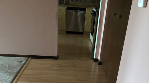 Tiny photo for 11277 S Roberts Road S #E, Palos Hills, IL 60465 (MLS # 12618971)