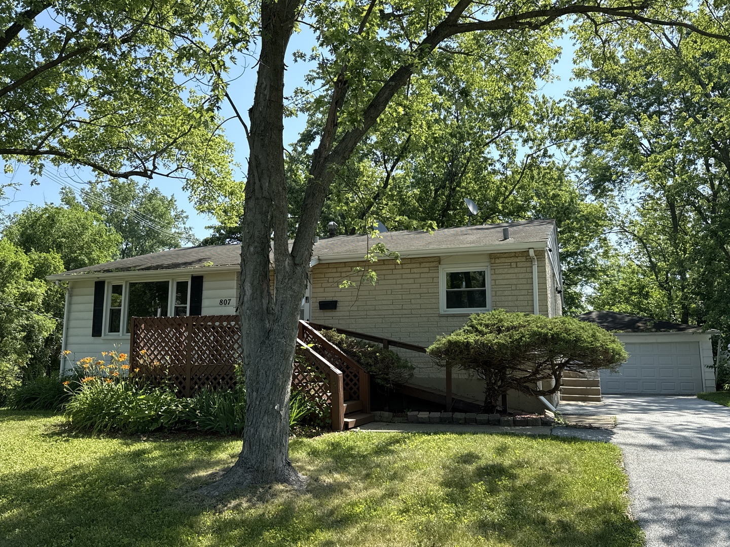 807 Blackhawk Drive