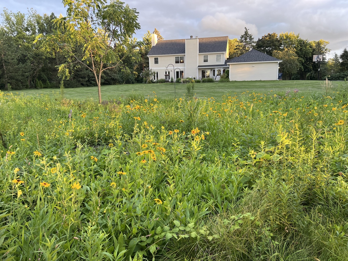 1900 Hickory Knoll Drive