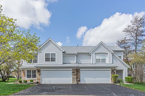 Photo of 18 Meadow Court #18, Schaumburg, IL 60193 (MLS # 12622606)