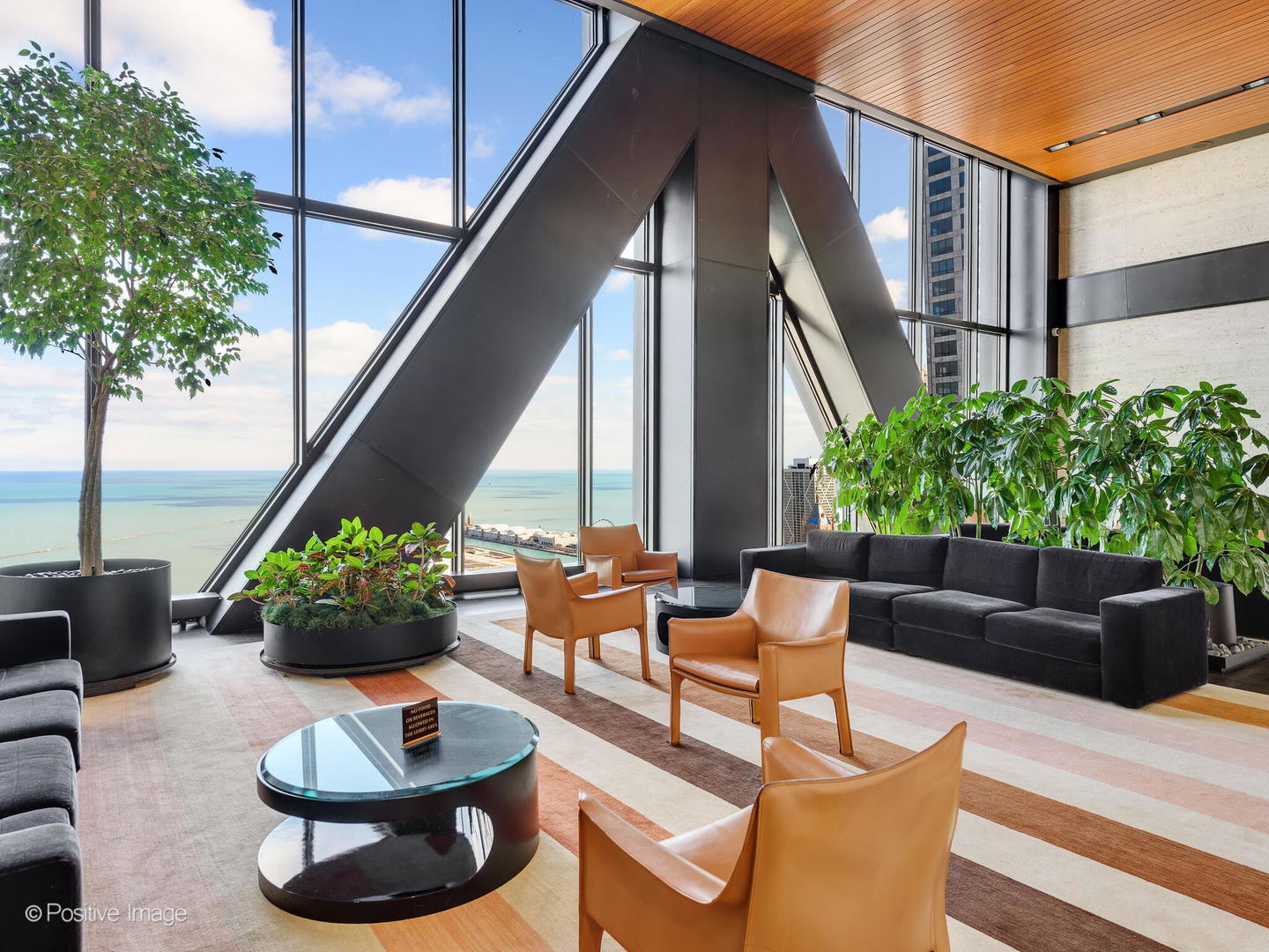 175 E Delaware Place 8808