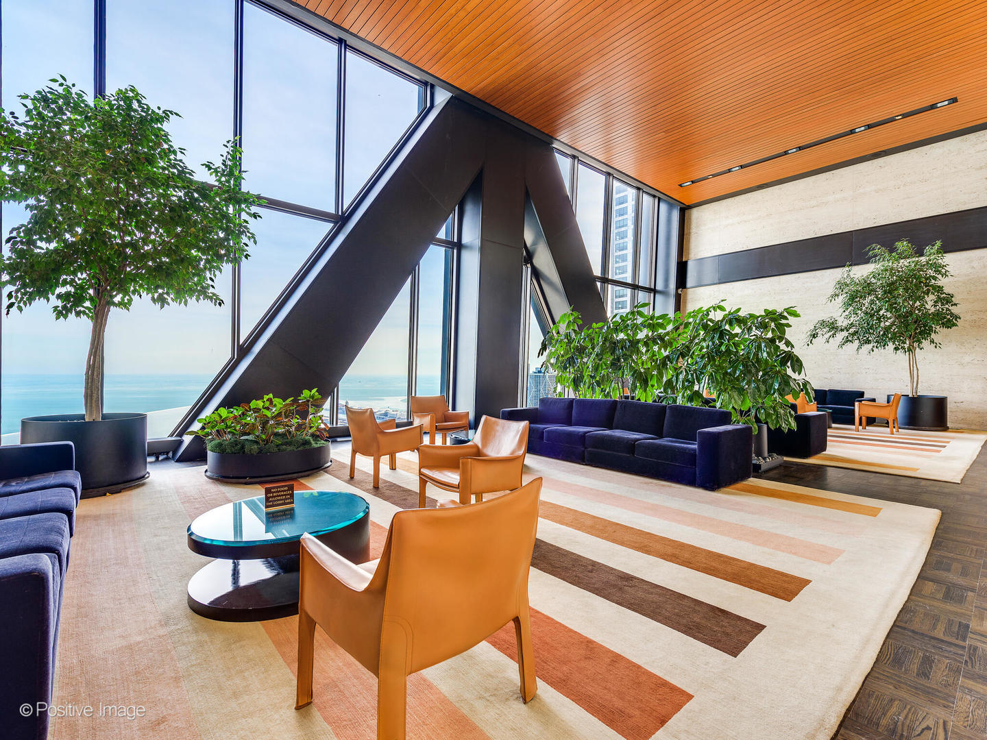 175 E Delaware Place 8808