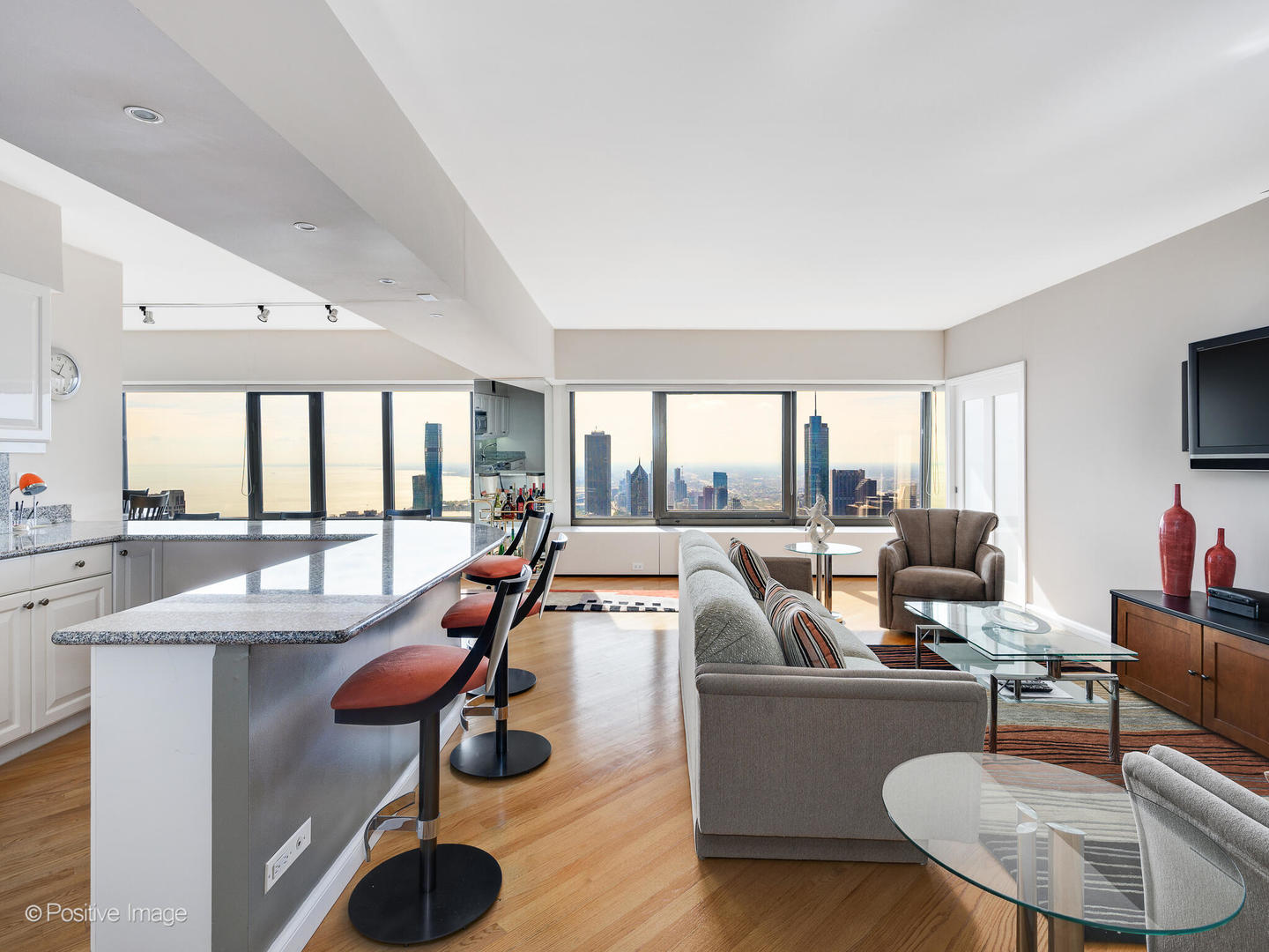 175 E Delaware Place 8808