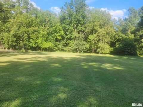 Tiny photo for 502 S Mayor Caliper Street S, Carterville, IL 62918 (MLS # EB459433)