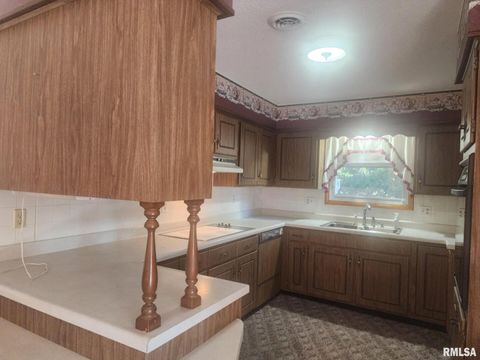 Tiny photo for 502 S Mayor Caliper Street S, Carterville, IL 62918 (MLS # EB459433)