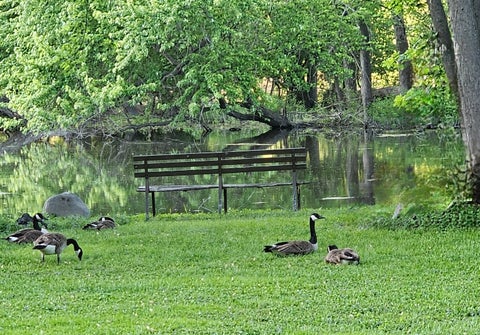 Tiny photo for 170 Hilldale Lane, Port Barrington, IL 60010 (MLS # 12783567)