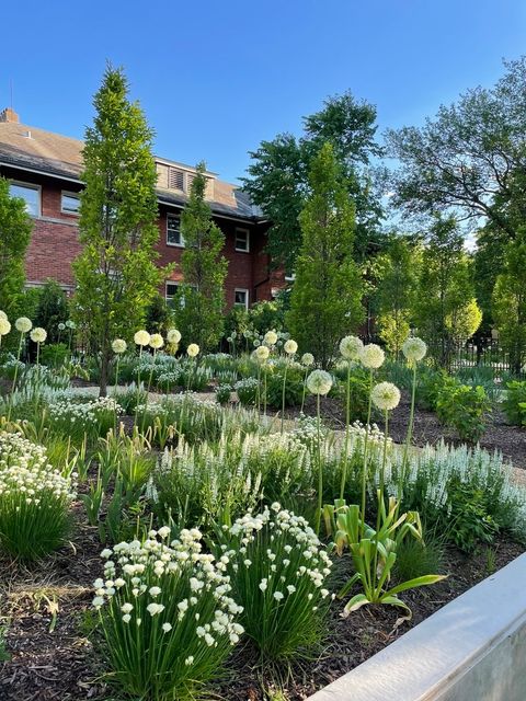 Tiny photo for 420 N Euclid Avenue, Oak Park, IL 60302 (MLS # 12572964)