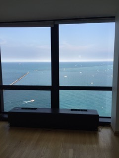 910 N LAKE SHORE Drive 2519