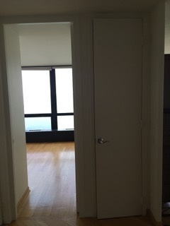 910 N LAKE SHORE Drive 2519