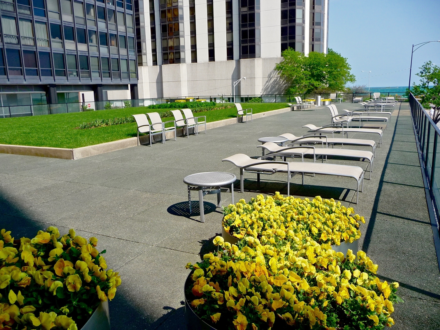 Chicago, Illinois 60611, United States, 3 Bedrooms Bedrooms, ,2 BathroomsBathrooms,Residential,Active,176288