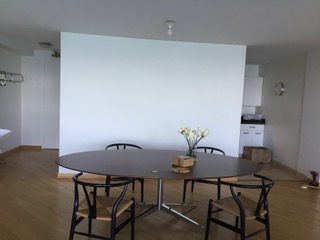 Chicago, Illinois 60611, United States, 3 Bedrooms Bedrooms, ,2 BathroomsBathrooms,Residential,Active,176288