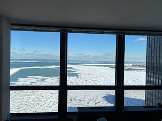 Chicago, Illinois 60611, United States, 3 Bedrooms Bedrooms, ,2 BathroomsBathrooms,Residential,Active,176288