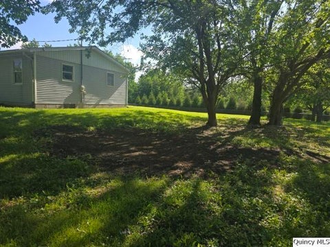 Tiny photo for 219 S First Street, Carthage, IL 62321 (MLS # 12569835)