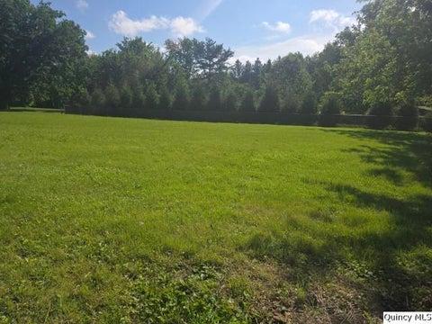 Tiny photo for 219 S First Street, Carthage, IL 62321 (MLS # 12569835)
