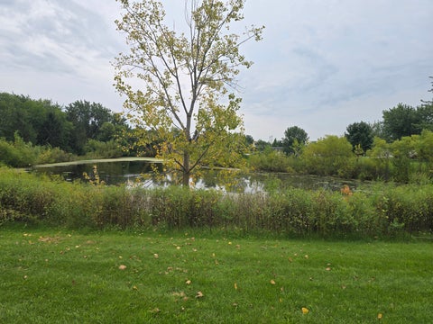Tiny photo for 4003 Franklin Street, Zion, IL 60099 (MLS # 12747403)