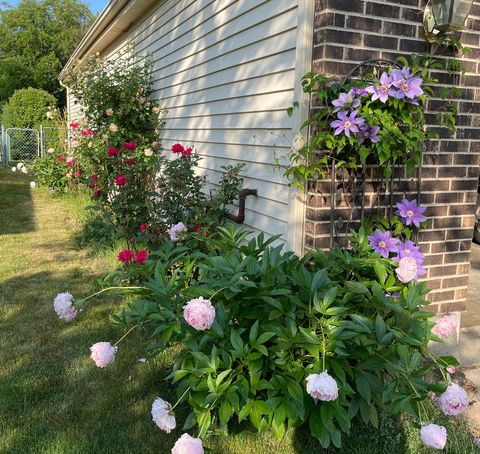 Tiny photo for 630 Cobblestone Lane, Buffalo Grove, IL 60089 (MLS # 12581671)