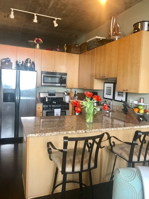 1464 S Michigan Avenue 1202