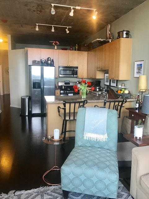 1464 S Michigan Avenue 1202