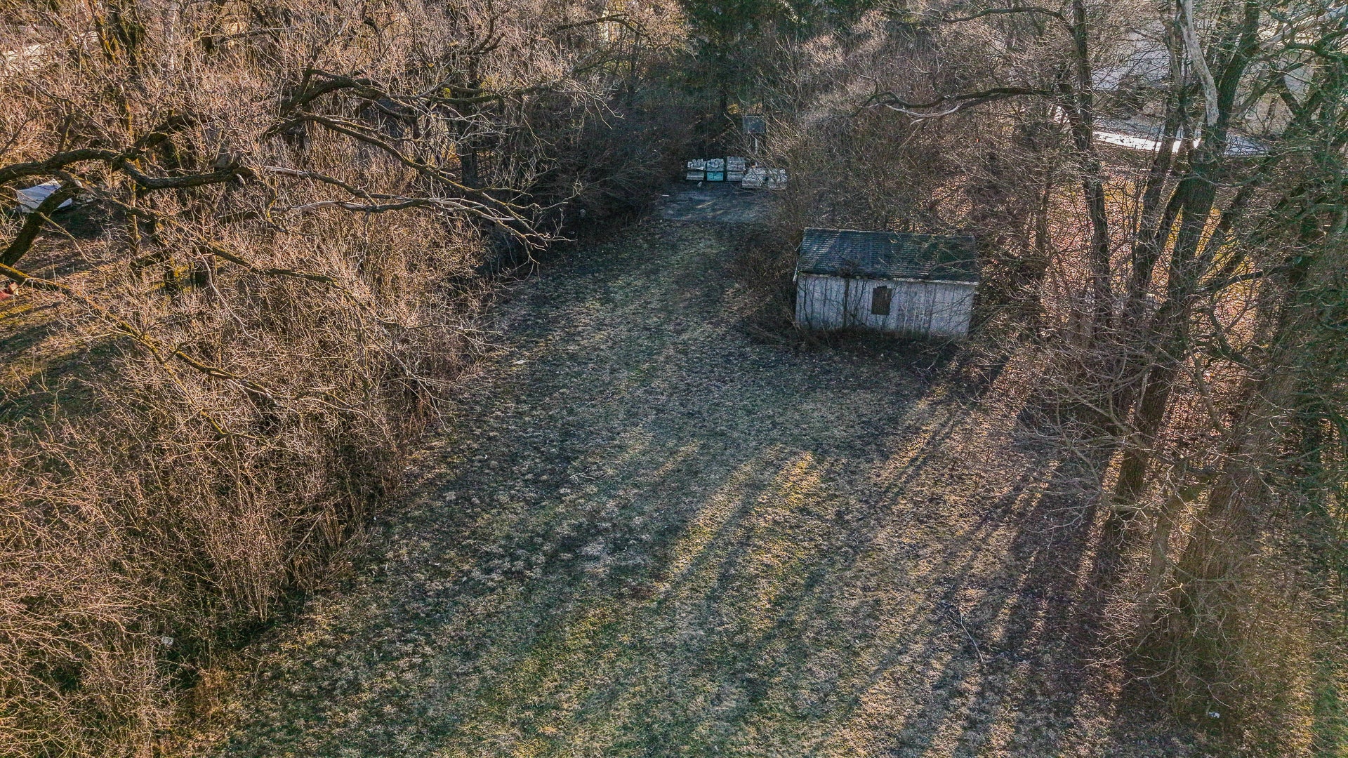 16809 Wolf Road
