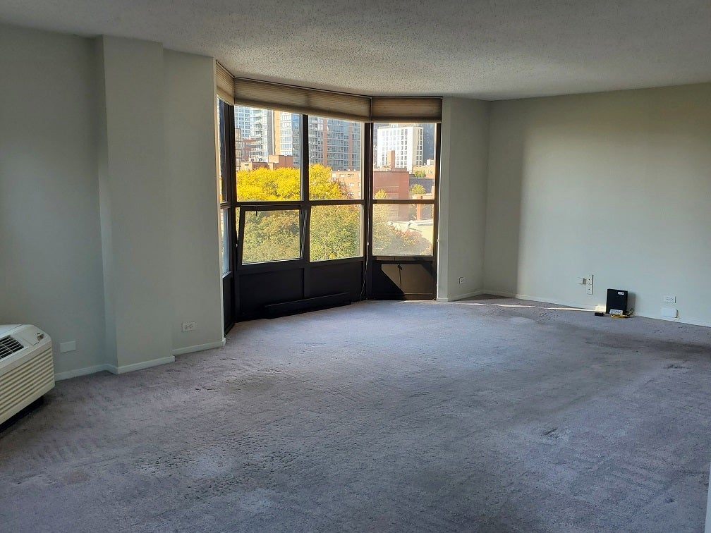 899 S Plymouth Court 504