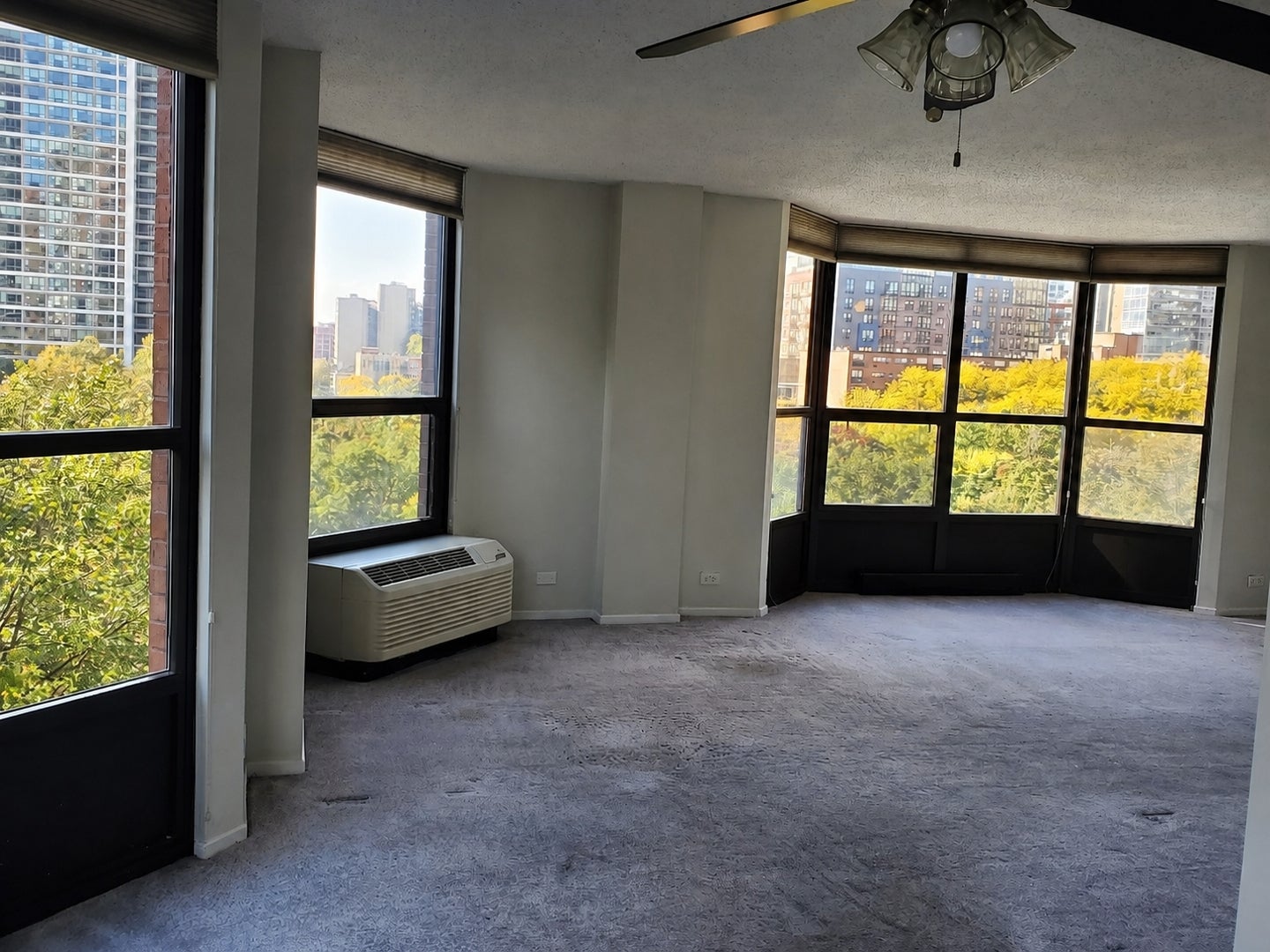 899 S Plymouth Court 504