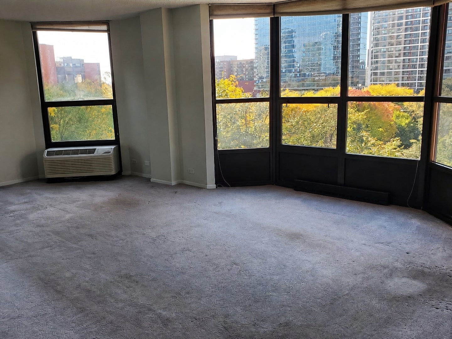 899 S Plymouth Court 504