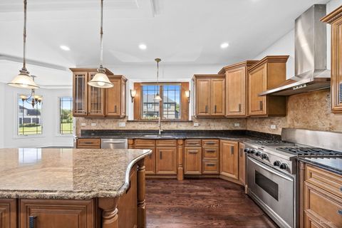 Tiny photo for 8964 Port Washington Drive, Frankfort, IL 60423 (MLS # 12431042)