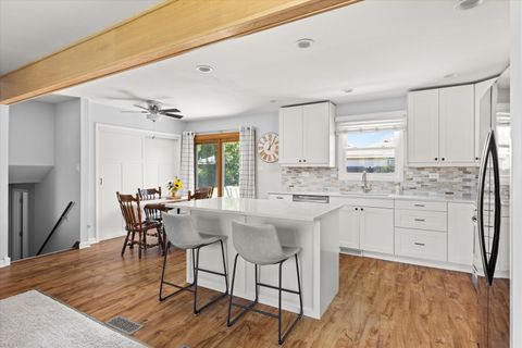 Tiny photo for 1105 Walter Street, Lemont, IL 60439 (MLS # 12488781)