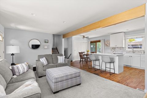 Tiny photo for 1105 Walter Street, Lemont, IL 60439 (MLS # 12488781)