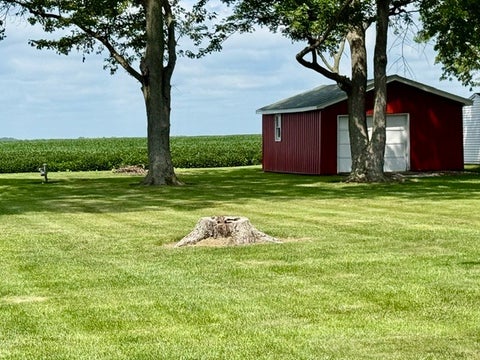 Tiny photo for 908 N County Road 800E, Tuscola, IL 61953 (MLS # 12724592)
