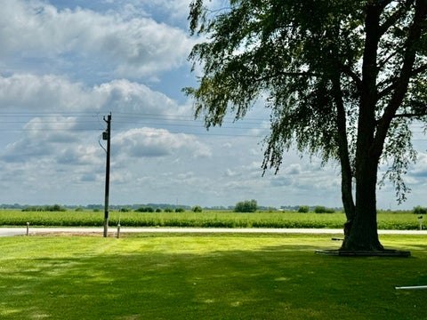 Tiny photo for 908 N County Road 800E, Tuscola, IL 61953 (MLS # 12724592)