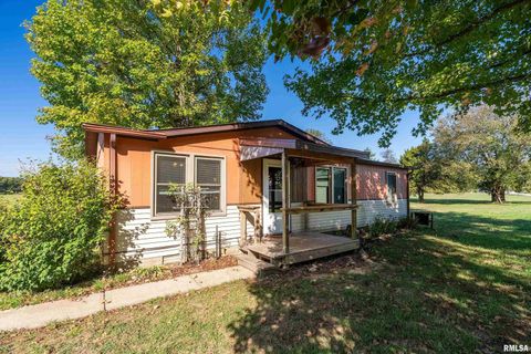 Tiny photo for 2961 N Rocky Comfort Road, Makanda, IL 62958 (MLS # QC4268376)