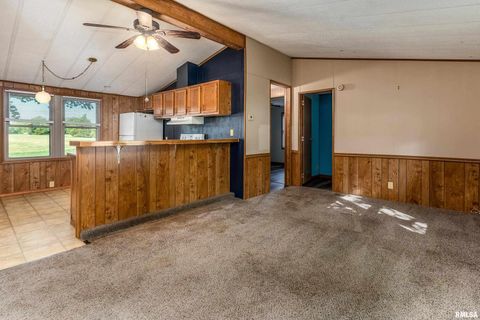 Tiny photo for 2961 N Rocky Comfort Road, Makanda, IL 62958 (MLS # QC4268376)